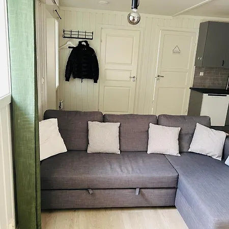 Apartment Bright And Downtown Lillehammer