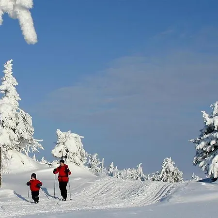 Bright And Downtown *